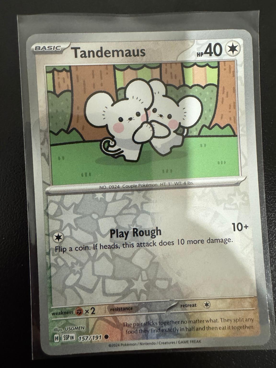 Pokémon Tandemaus 157/191 Common Reverse Holo – Surging Sparks NM card photo